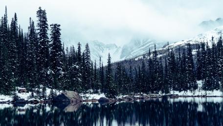 Winter Wonderland: Tranquil Pine Reflections wallpaper
