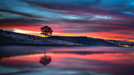 Solitary Beauty at Sunset Lake wallpaper