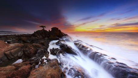 Tranquil Solitude at the Shoreline wallpaper