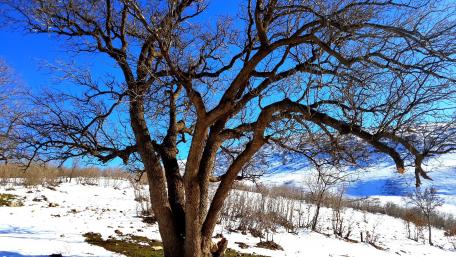 Kurdistan in wintertime wallpaper