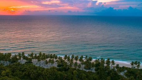 Tropical Serenity by the Ocean Waves wallpaper