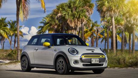 Sleek MINI Cooper Amidst Tropical Palms wallpaper
