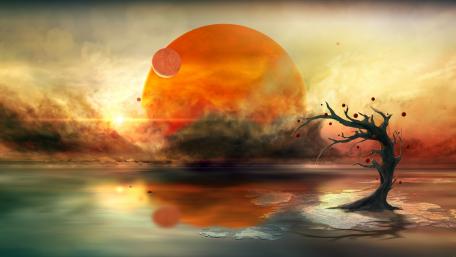 Solitary Tree in a Mystical Sunset wallpaper