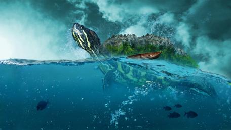 Huge turtle wallpaper