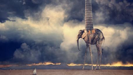 Surreal elephant wallpaper