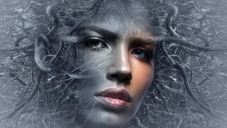 Rooted in Consciousness wallpaper