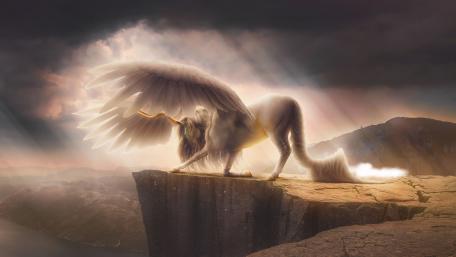 Winged Majesty on the Cliff's Edge wallpaper