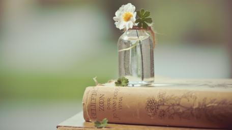 Peaceful Still Life with Flower and Book wallpaper