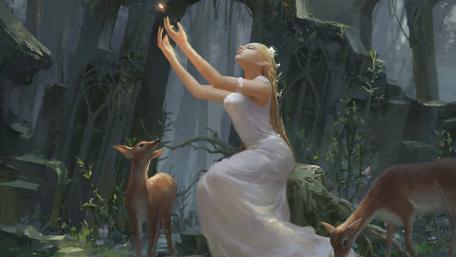 Enchanted Forest Bonding Ceremony wallpaper