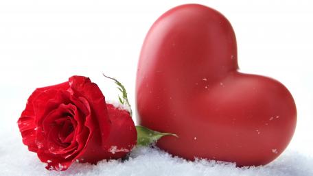 Romantic Winter Heart and Rose Wallpaper wallpaper