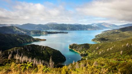 Marlborough District wallpaper
