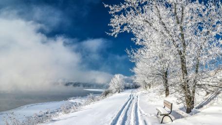 Serene Winter Wonderland Scene wallpaper