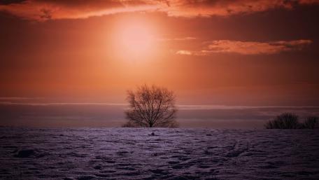Winter Solitude Under a Red Sky wallpaper