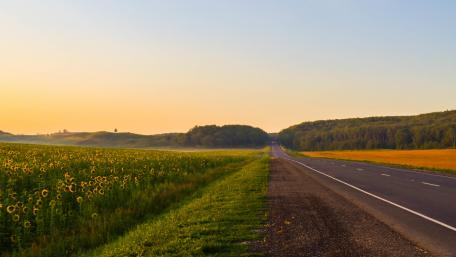 Summer Road Through Golden Fields and Sunflowers wallpaper