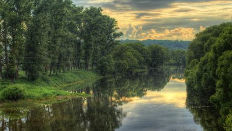 Tranquil River Reflections in Greenery wallpaper