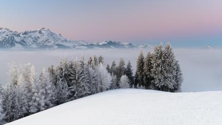 Winter's Majestic Silence wallpaper