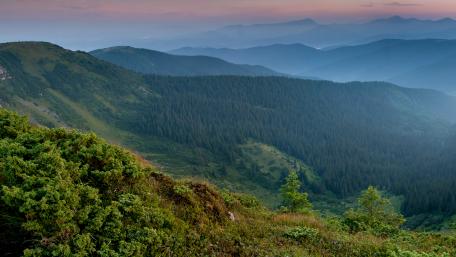 Majestic Mountain Serenity In Nature wallpaper