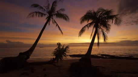 Serene Sunset Over Tranquil Beach Scene wallpaper