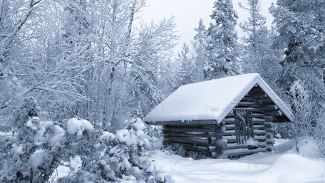 Winter Wonderland Log Cabin wallpaper