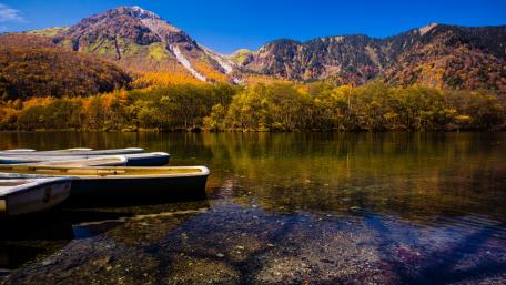 Serene Autumn Reflections on a Tranquil Lake wallpaper