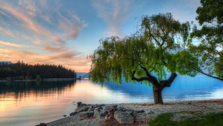Serene Sunset by the Lake wallpaper