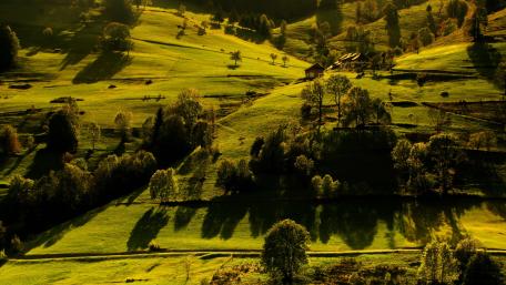 Lush Green Hills Under Golden Light wallpaper