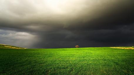 Solitary Tree Against a Dramatic Sky wallpaper