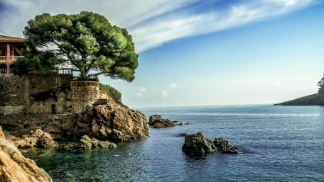 Serene View of Coastal Oasis wallpaper