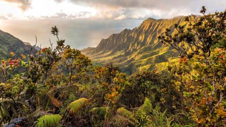 Nā Pali-Kona Forest Reserve, Hawaii wallpaper