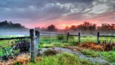 Serene Sunrise Over Misty Farmland wallpaper