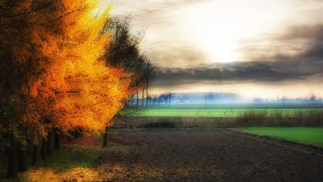 Vibrant Autumn Landscape with Glowing Trees wallpaper