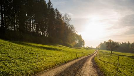 Serene Dirt Road in Nature's Embrace wallpaper