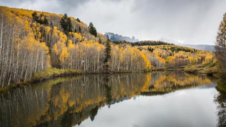 Autumn Serenity Reflected in Nature's Palette wallpaper