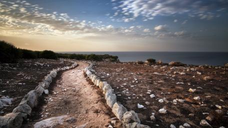 Serene Pathway by the Horizon wallpaper
