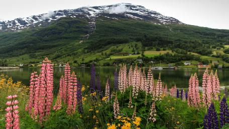 Nordfjord wallpaper