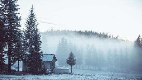Serene Winter Landscape with Misty Pines wallpaper