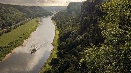 Tranquil River in Lush Greenery wallpaper