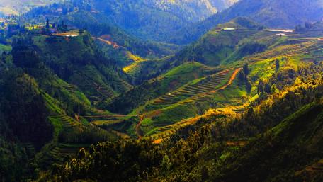 Majestic Terraced Landscape in Nature wallpaper