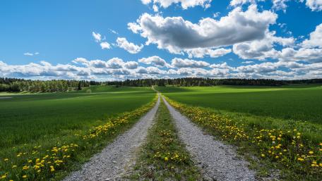 Serene Pathway Through Lush Fields and Clouds wallpaper