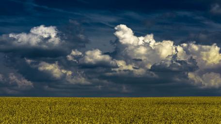 Golden Fields Beneath Majestic Clouds wallpaper