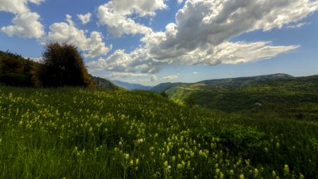 Breathtaking Mountain Landscape with Lush Greenery and Dramatic Clouds wallpaper