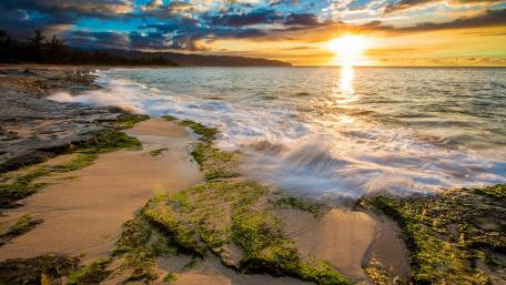 Serene Sunset Over Shoreline Waves wallpaper