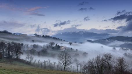 Mystical Foggy Landscape at Dawn wallpaper