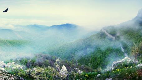Majestic Mountains Wrapped in Misty Serenity wallpaper