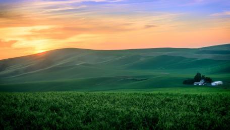 Serene Sunset Over Rolling Green Hills wallpaper