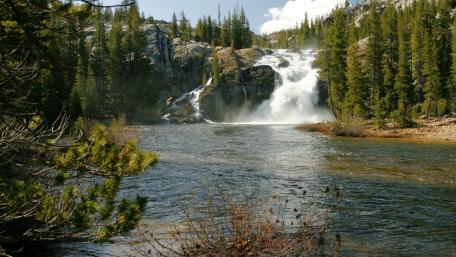 Majestic Waterfall in a Forest Oasis wallpaper