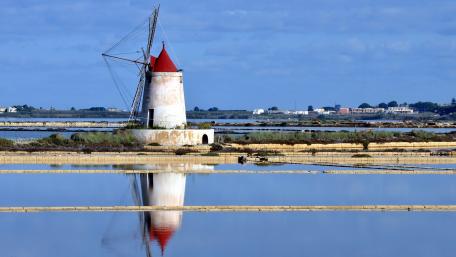 Serene Windmill Reflections in Nature wallpaper