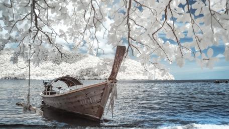 Winter Boat Amidst Snowy Branches wallpaper