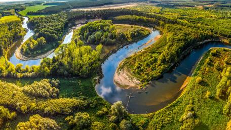 Meandering river wallpaper