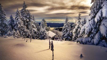 Winter Wonderland Retreat wallpaper